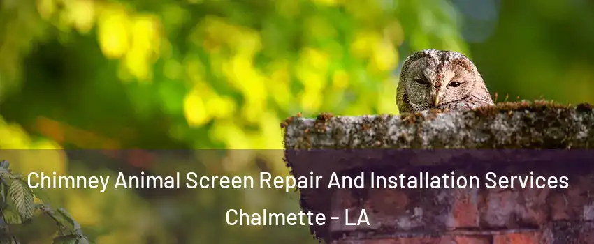  Chimney Animal Screen Repair And Installation Services Chalmette - LA