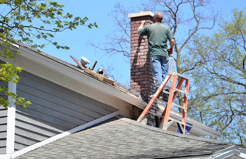 Chimney & Fireplace Inspections Services in Chalmette, LA